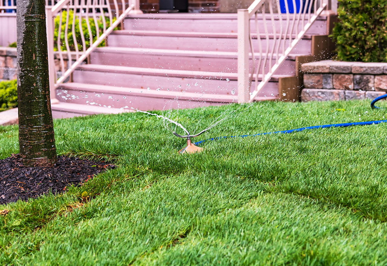 Sod store for lawn